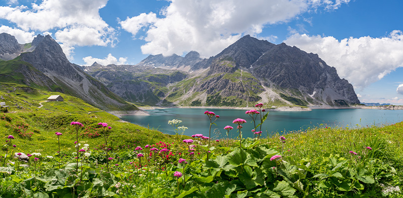 Entdecke jetzt deine Karriere in Vorarlberg Karriere in Vorarlberg